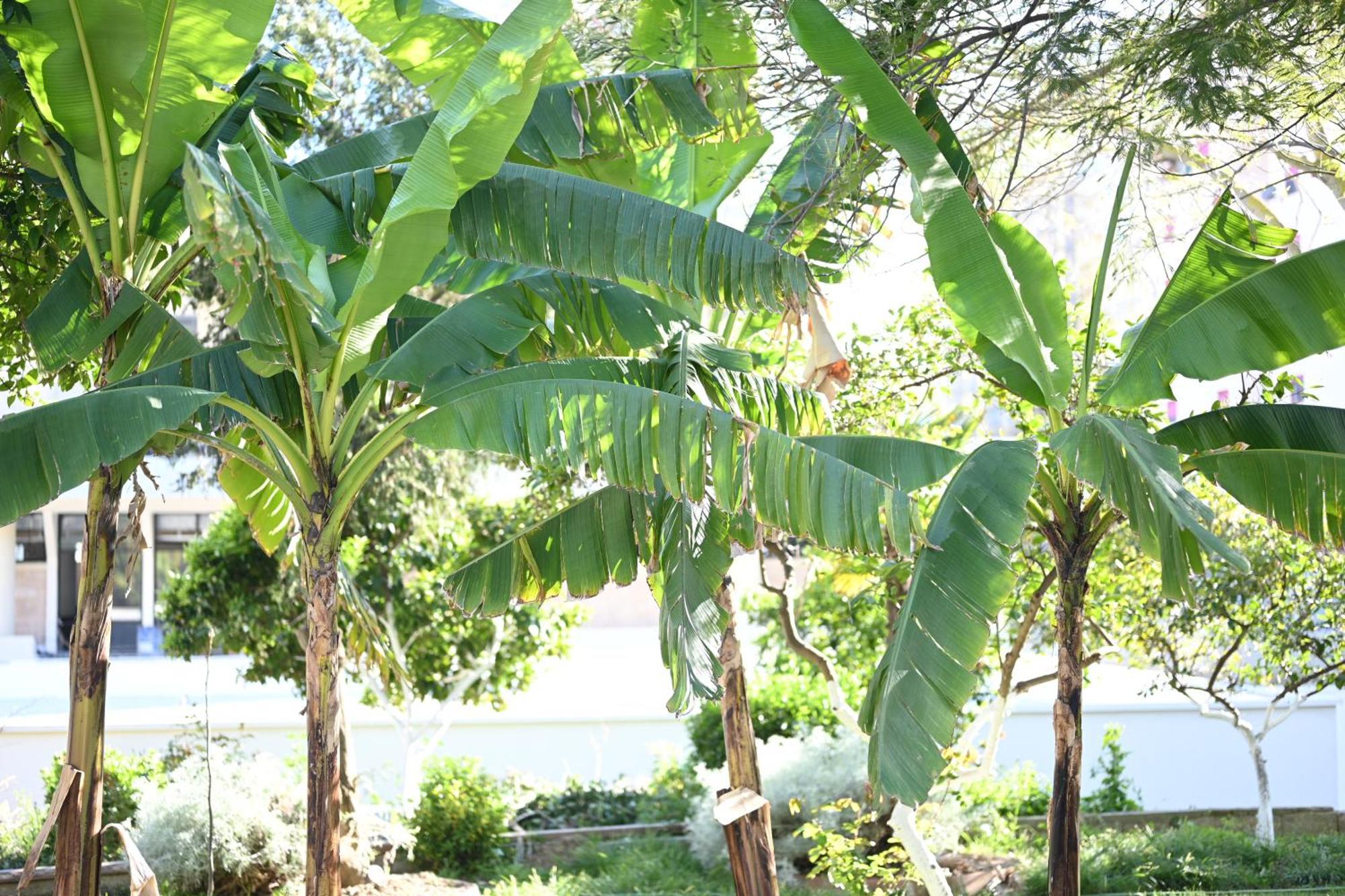 דורס Top View Hostel מראה חיצוני תמונה